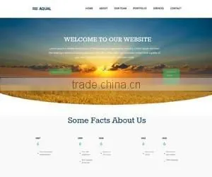 Website Design in Bahrain thumbnail-4