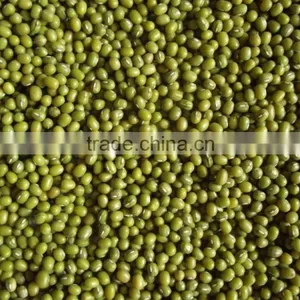 Green Mung Bean thumbnail-1