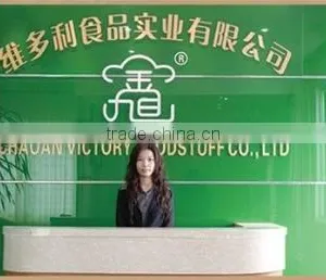 Guangdong New Victory Foodstuff Co., Ltd. company overview - view 1 thumbnail