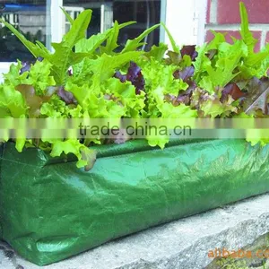 PE Planting Bag, Flowers Planting Bag thumbnail-2