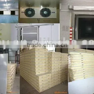 PU Insulation Cold Room Panels for Cold Room Building thumbnail-1