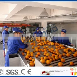 Citrus and Similar Fruits Processing Line thumbnail-1