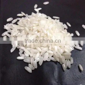 Fresh IR 8 Short Grain Rice thumbnail-5