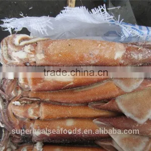 Frozen Illex Argentina Squid 100-150g thumbnail-5
