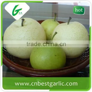 Fresh Fruit Royal Delicious Red Gala Apple thumbnail-1