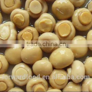 New Crop Mushroom Canned in Whole or Pieces thumbnail-5