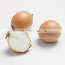 Get New Crop Of Onions thumbnail-4