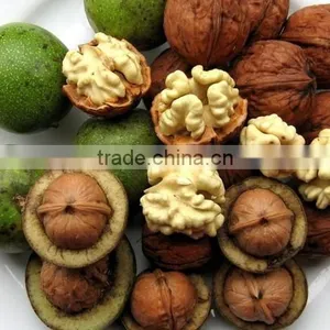 Chinese Walnut Kernel for Hot Sale and With Good Quality and Free Sample for You thumbnail-2