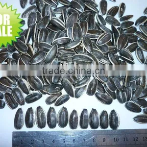 Sunflower Seeds 20/64,22/64,24/64 thumbnail-1