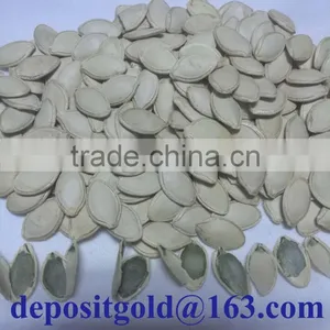 Shine Skin Pumpkin Seeds in Shell thumbnail-4