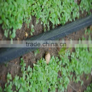 Hotsale Black Rain Pipe for Farm Irrigation System thumbnail-2