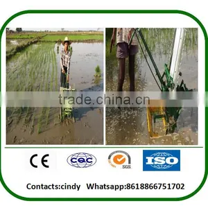 Light Weight and Small in Size Manual Rice Transplanter With New Design thumbnail-5