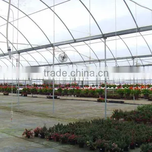 Double Inflated Plastic Film Greenhouse thumbnail-1