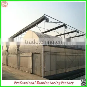 Arched Type Commercial Used Greenhouse for Potatoes for Hot Sale thumbnail-4