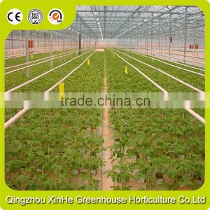 High Quality Low Price Galvanized Steel Tunnel Agricultural Greenhouse thumbnail-4