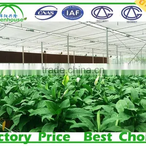 200 Micron Film Multi Span Plastic Film Agricultural Commercial Greenhouse thumbnail-6