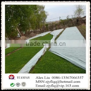 Steady Quality China Agricultural PP Non-woven Fabric,Crop Cover thumbnail-1