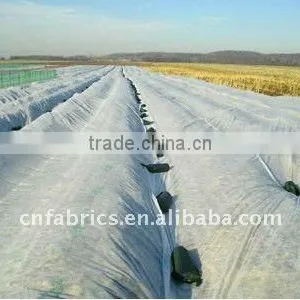 pp Nonwoven Ground Films thumbnail-1