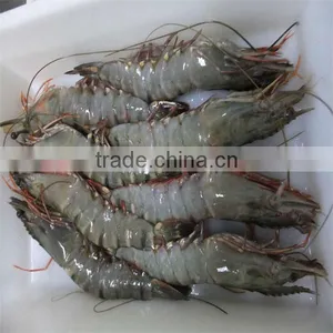 Frozen Shrimp and What is Shrimp thumbnail-1