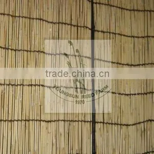 Reed Fence thumbnail-6