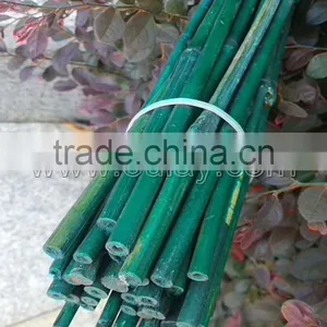 Dyed Green Bamboo Sticks for Garden&agriculture thumbnail-1