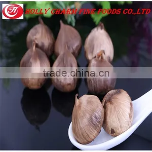Manufacturer Supply Best Price Superior Quality Solo Black Garlic for Wholesale thumbnail-2