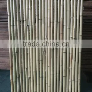 Bamboo Fence thumbnail-1