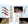 LWX5565-5566 thumbnail-1