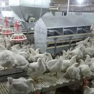 Chicken Egg Laying Nest thumbnail-2