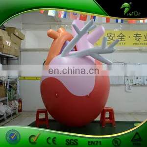 Large Inflatable Heart Organ Replica Balloon Artificial Custom Organ Model Inflatables PVC Advertising Toys Ball thumbnail-5