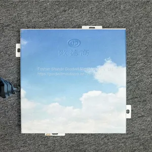 3D Priting Aluminum Ceiling Panel Aluminum Alloy 1100,3003 thumbnail-2
