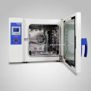 Hot Air Oven DHG Drying Oven,laboratory and Industrial Specialty Oven Equipment thumbnail-1
