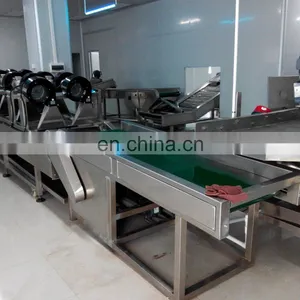 200kg SUS 304 French Fries Plant Potato Frozen French Fries Making Machine thumbnail-6