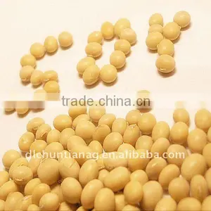 Chinese Non GMO Organic Soybeans thumbnail-1