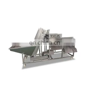 Full Automatic Onion Processing Line Onion Peeling and Cutting Machine Onion Peeling Machine thumbnail-4