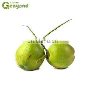 Cost-effective Green Coconut Half Cutting Machine thumbnail-2
