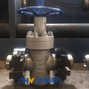 High Pressure Clamp Gate ValveZ83Y-250 DN25~500 thumbnail-1