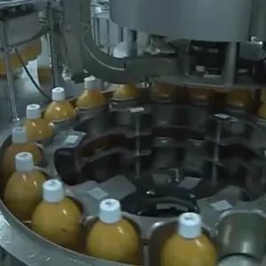 Pumpkin Fruit Processing Production Line Equipment Manufacturing, Pumpkin Pulp Processing Machinery, Pumpkin Juice Processing thumbnail-6