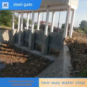 Steel Plane Gate, Stainless Steel Gate and Mechanism Integrated Design, Water Retaining Gate for River and Reservoir thumbnail-5