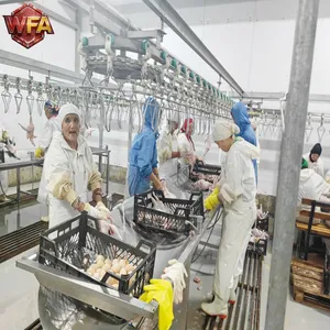 Full SUS304 Stainless Steel Hog Slaughter Processing Line 100–1200 Heads Per Shift Capacity thumbnail-4