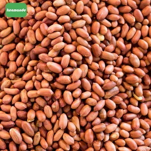 Commercial Batch Practical Size Control Shelled Peanut Kernels 42/46 for Nut Mix Packing thumbnail-1
