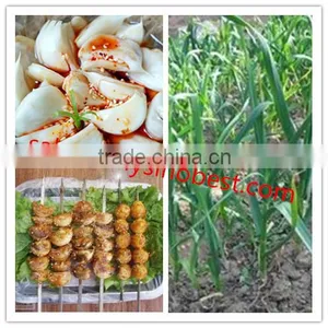 2016 Fresh Garlic,normal White Garlic, Pure White Garlic thumbnail-3