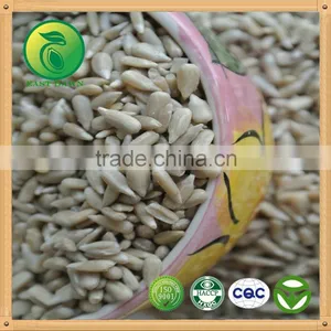 Bakery Sunflower Kernels for Human Consumption thumbnail-1