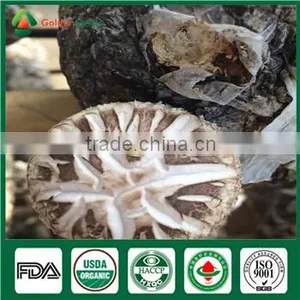 Hotsale Organic Fresh Dry Fungus Vegetable Mushrooms Growing Seed Bag thumbnail-2