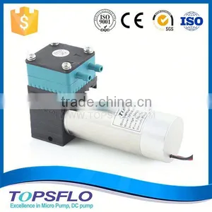 Diaphragm Liquid Small Date Codes Ink Pump thumbnail-1