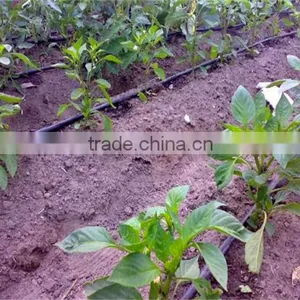 Drip Irrigation Line. 0.25mm Thickness +30CM SPACE. thumbnail-3