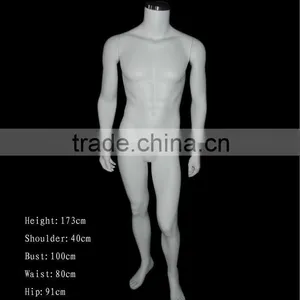Male Mannequin Gross Color thumbnail-1
