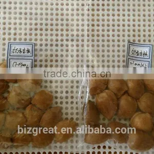 Supply With Chinese Bulk Spicy Flavored Roasted Apricot Kernels in Shell thumbnail-3