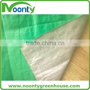 Greenhouse Plastic Roll thumbnail-1