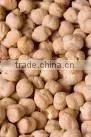 Chick Peas thumbnail-1